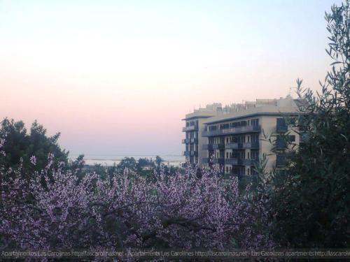 Apartaments Las Carolinas Sant Carlos de la Ràpita エクステリア 写真